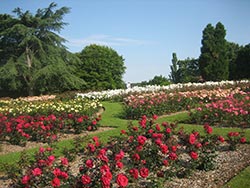 Parc floral de la Beaujoire