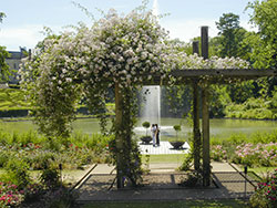 Parc Floral de la Source, Orléans