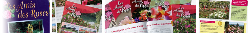 Archives de la Socit Franaise des Roses