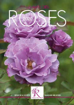 Le Guide : Bulbes à fleurs  Produits jardins - Meilland Richardier